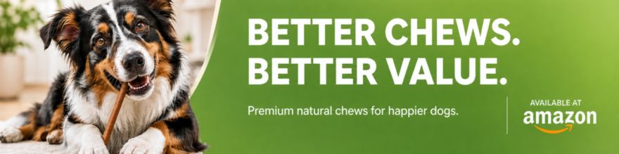 Banner-4b.jpg